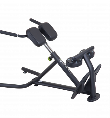 A993 Back Hyperextension