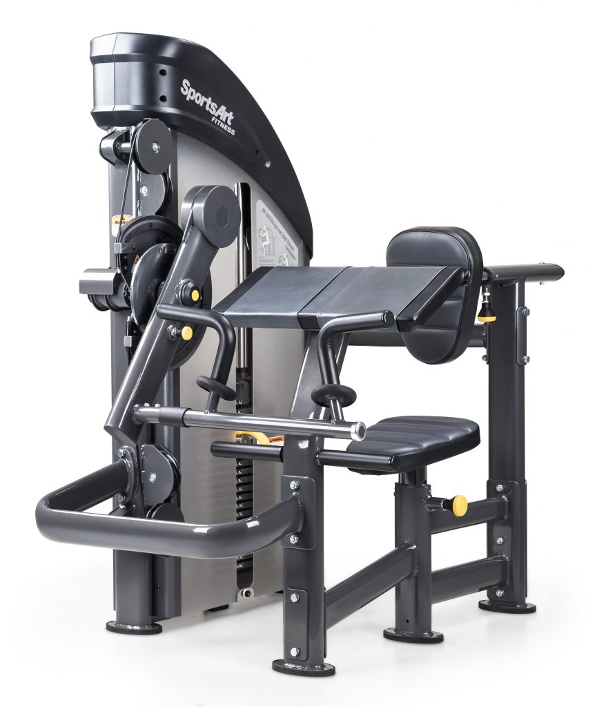 ピップエクササイズマシーン DF205 Bicep/Tricep - SportsArt