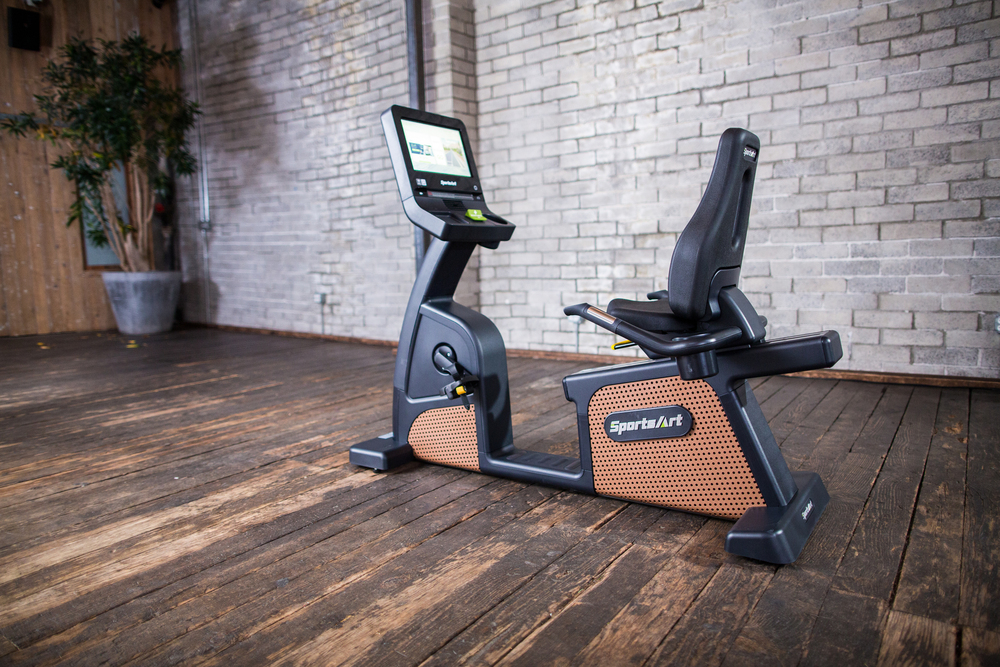 C576R STATUS SENZA RECUMBENT CYCLE-16"