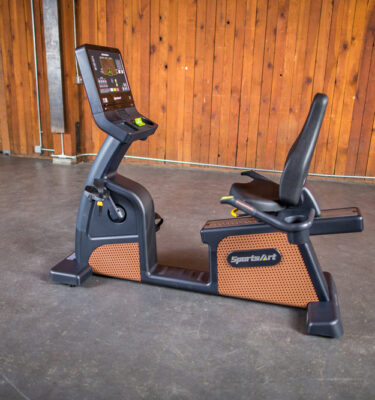 C576R Recumbent Cycle