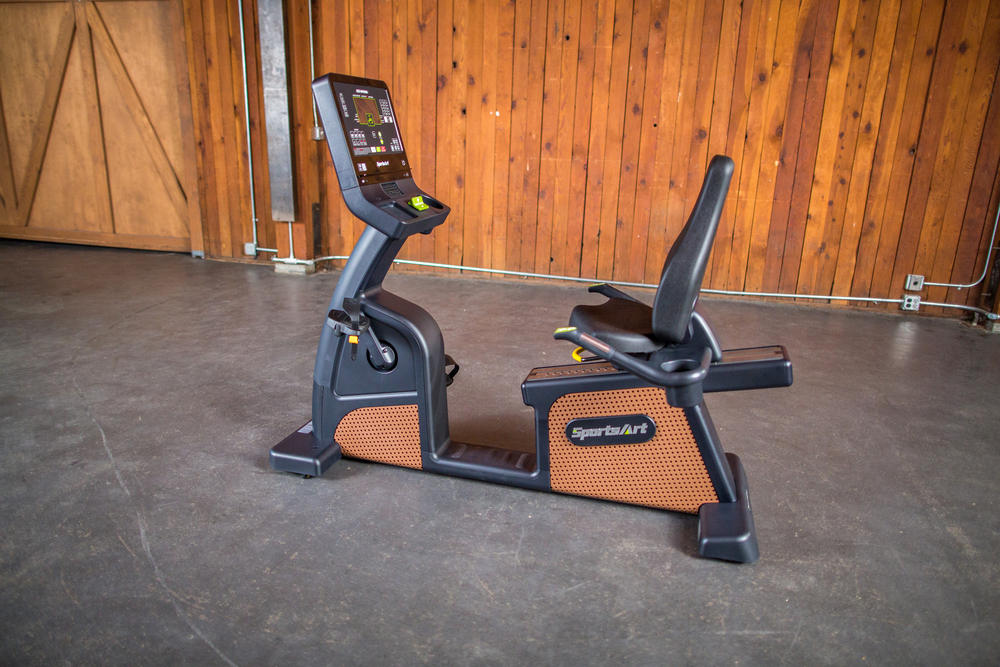 C576R STATUS ECO-NATURAL RECUMBENT CYCLE