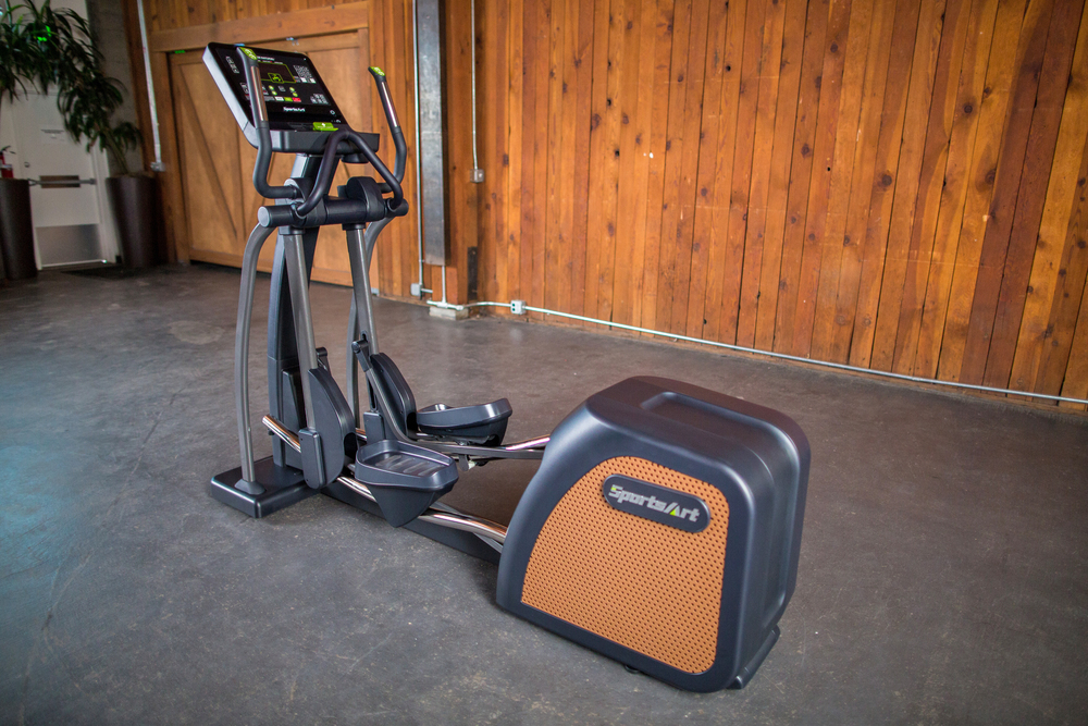 E876 STATUS ECO-NATURAL ELLIPTICAL