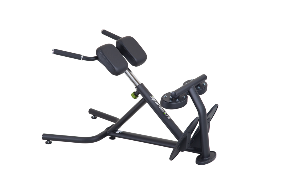 A993 Back Hyperextension - SportsArt