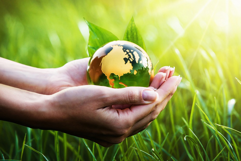 Environmental Impact