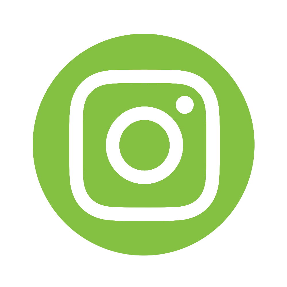 instagram icon