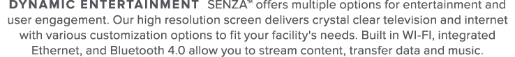 Dynamic Entertainment SENZA  offers multiple options for entertainment and user engagement  Our high resolution scree   