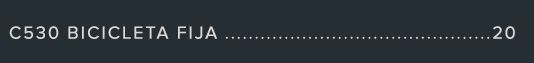C530 Bicicleta fija 20